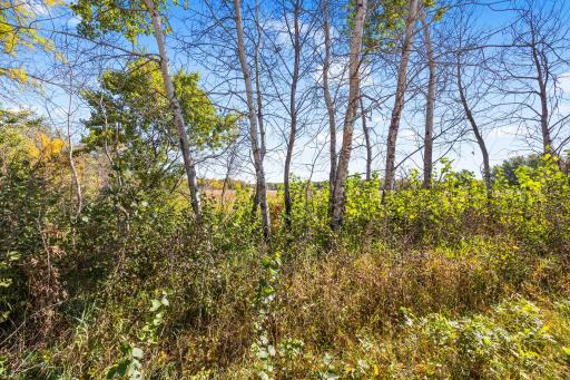 Lot 2 328th Avenue NE, Cambridge, MN 55008