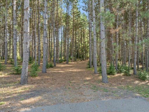 33618 Old 371, Pequot Lakes, MN 56472