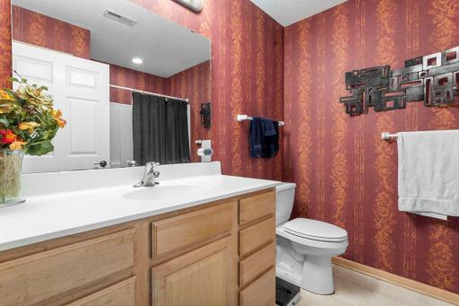 308 Arrowhead Drive, Lino Lakes, MN 55014