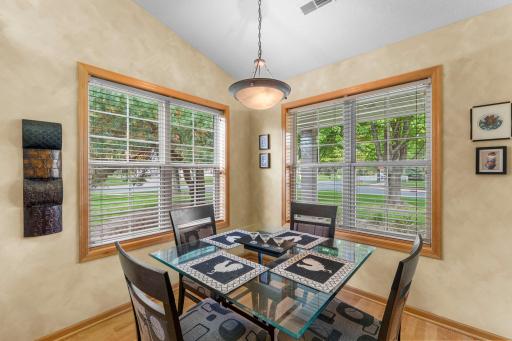 308 Arrowhead Drive, Lino Lakes, MN 55014