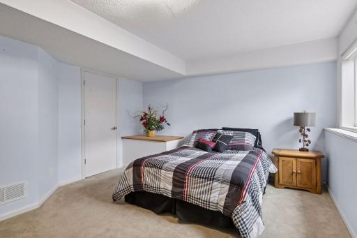 The lower level bedroom provides a comfortable and private space with carpet flooring, a walk in closet, overhead light and a bright double window.