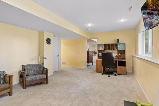 Another view highlights access to the lower level bedroom and smart under stair storage for keeping everything organized.