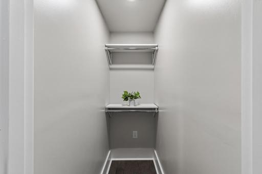Deep walk-in closet in the third bedroom
