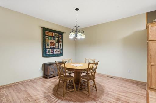 12795 Ulysses Circle NE, Blaine, MN 55434