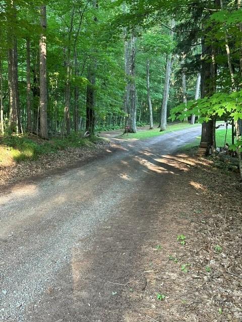 Photo 27