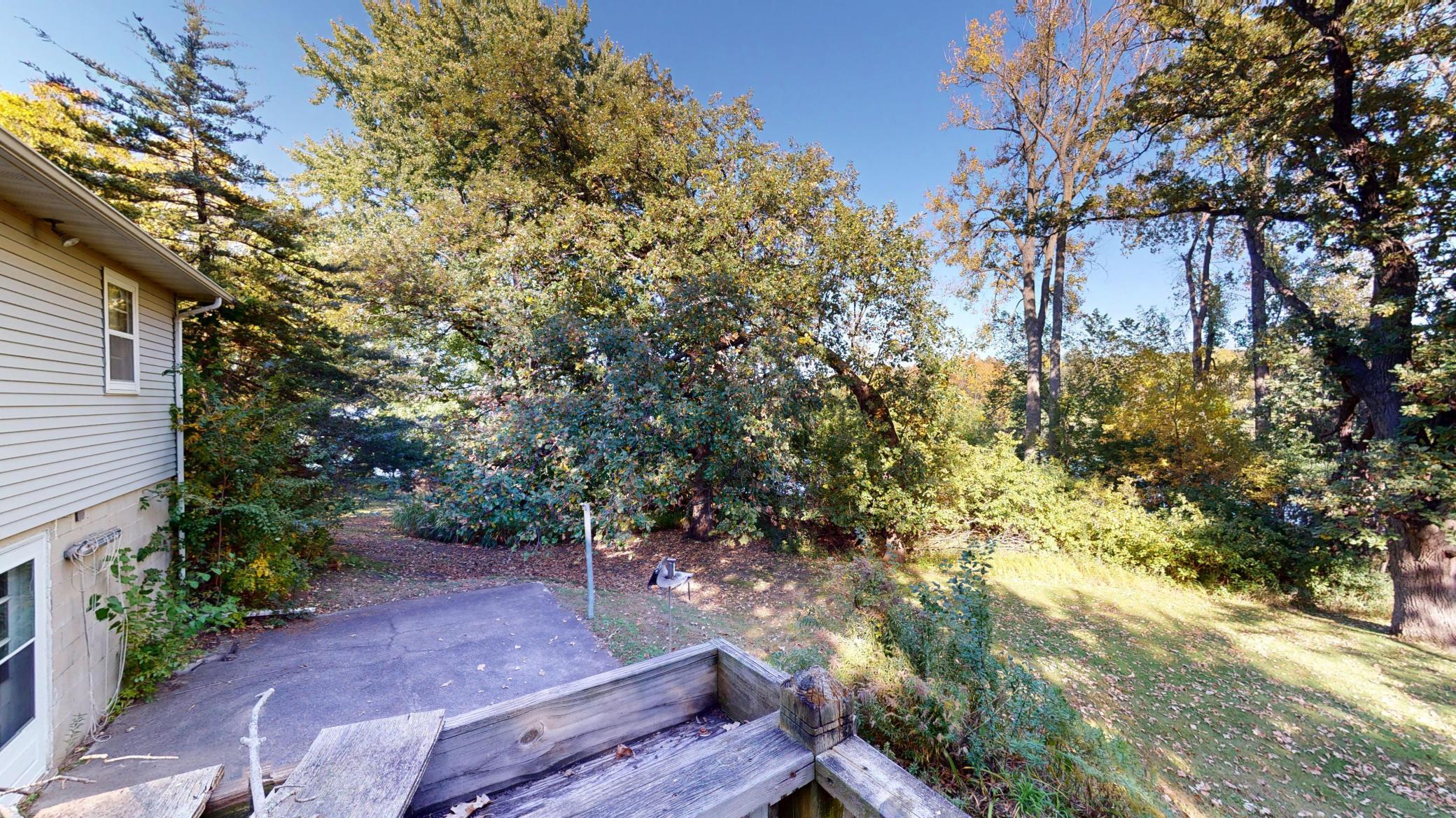 Backyard from deck
