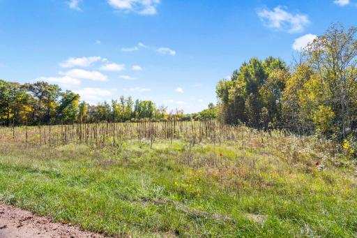 Lot 1 328th Avenue NW, Cambridge, MN 55008