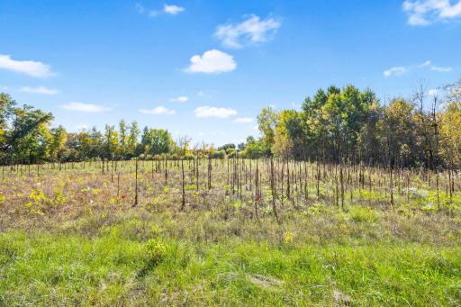 Lot 1 328th Avenue NW, Cambridge, MN 55008