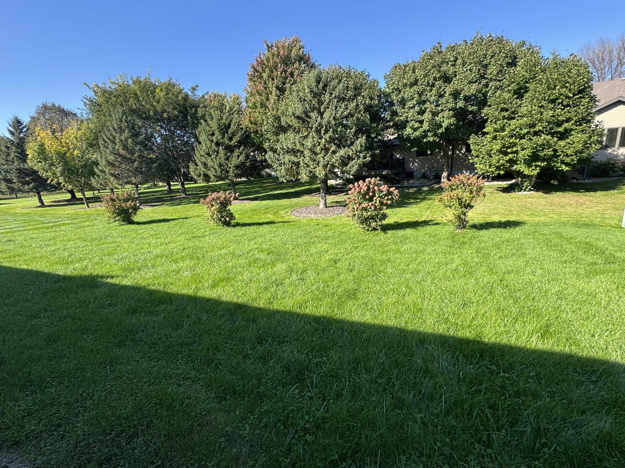 Nice Backyard