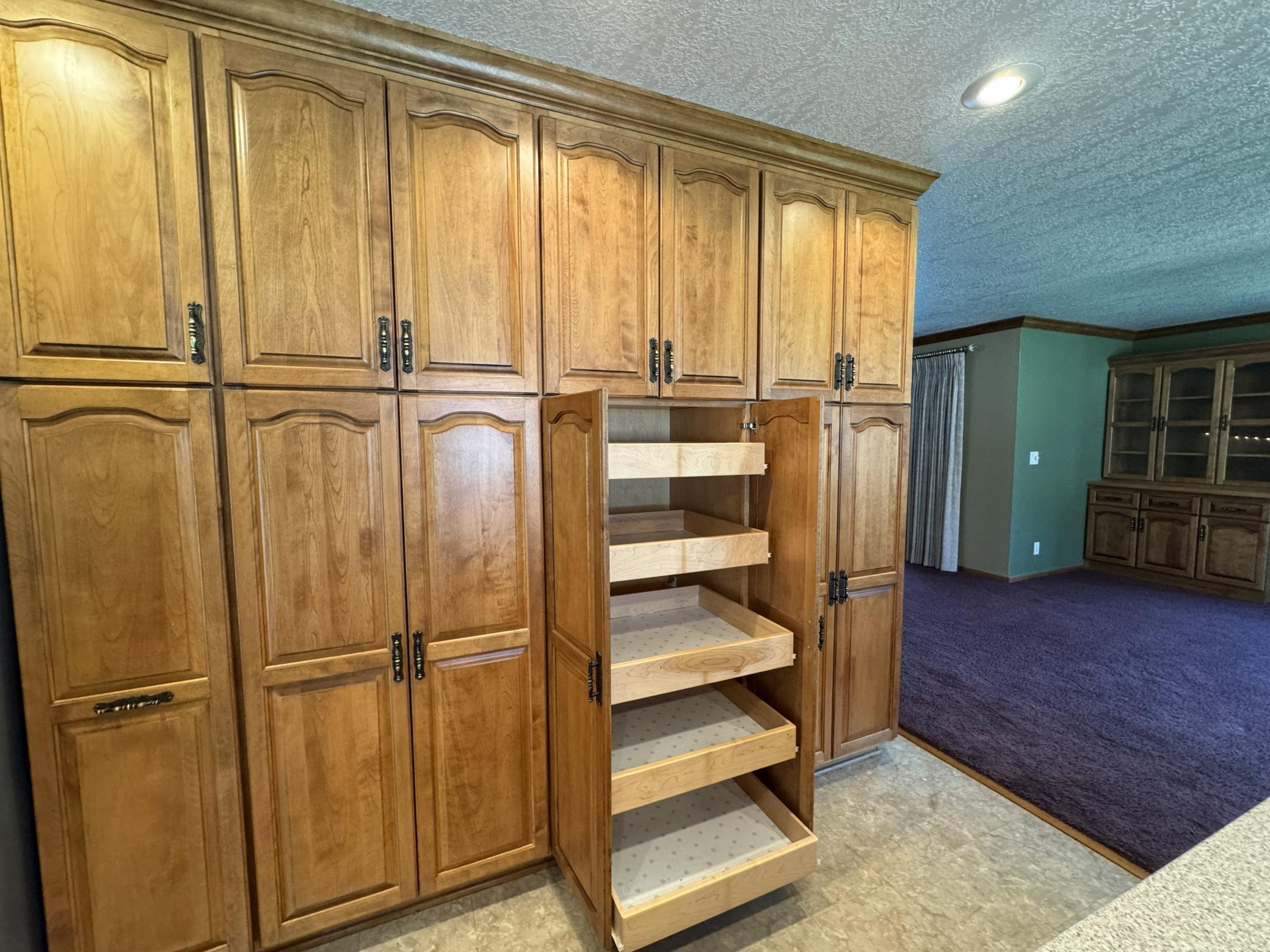Roll Out Shelves