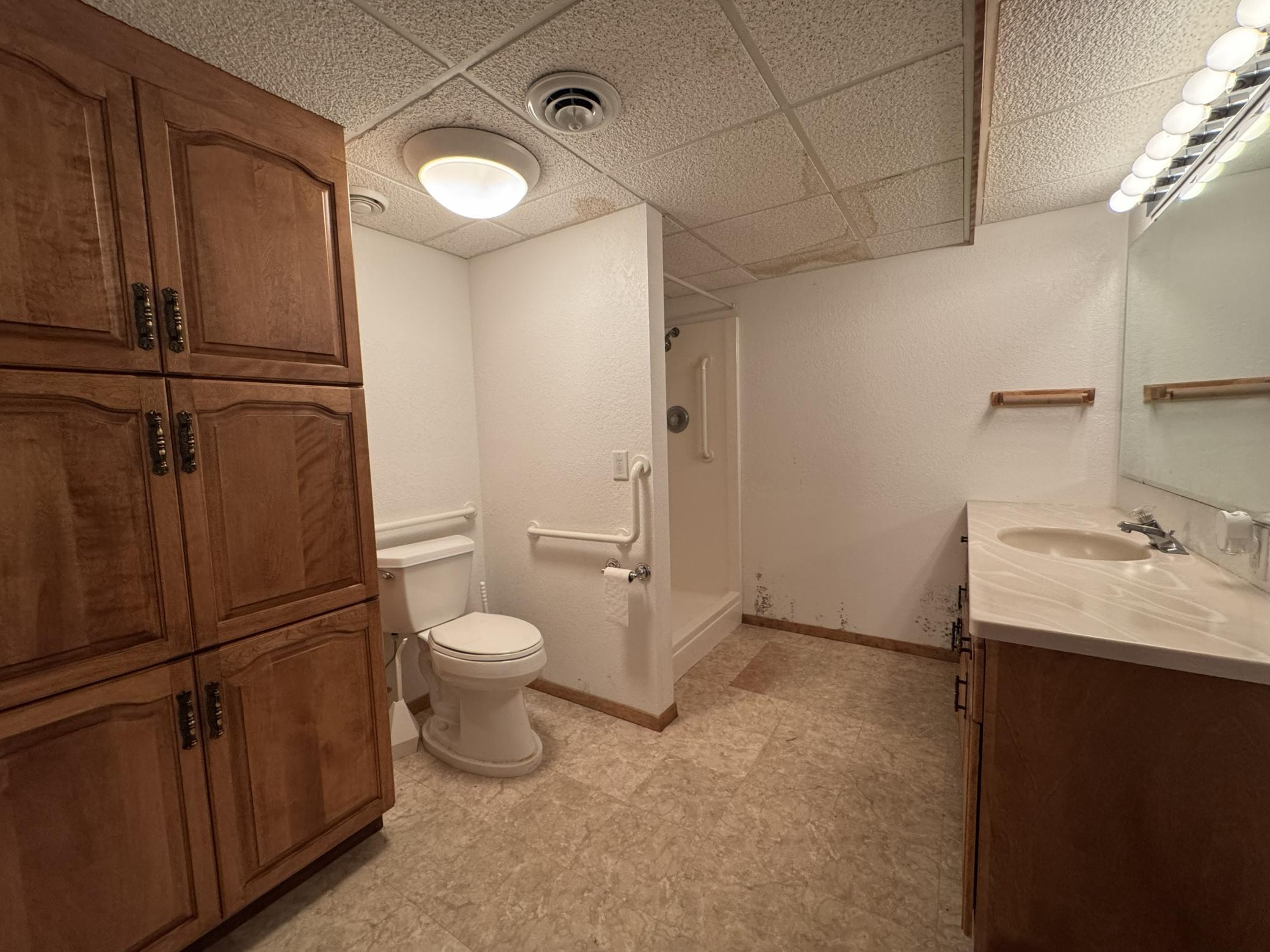 Lower Level 3/4 Bathroom