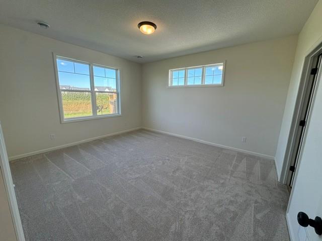 Willow II - Owner's Suite - Lot 60.jpg