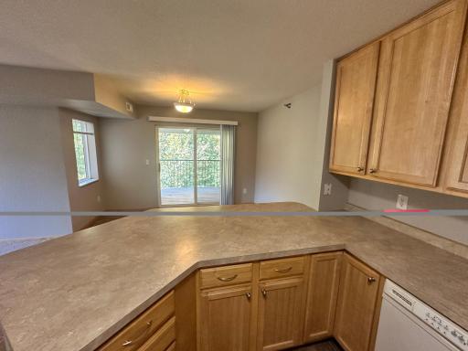 16520 Tranquility Court SE, 303, Prior Lake, MN 55372