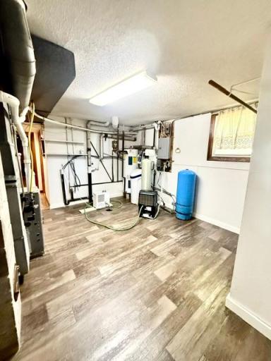 35566 720th Avenue, Morton, MN 56270