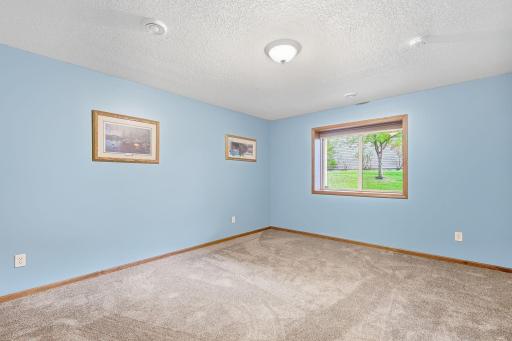 The other larger bedroom in the lower level with a lot of natural light