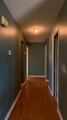 110 Angelique Avenue, Wabasha, MN 55981