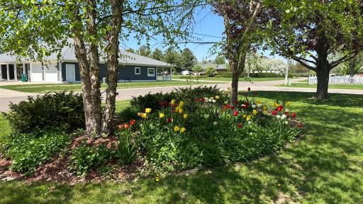 110 Angelique Avenue, Wabasha, MN 55981