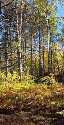 560th Street, Palisade, MN 56469