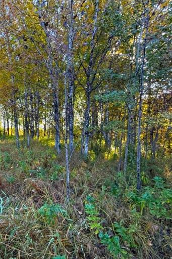 560th Street, Palisade, MN 56469