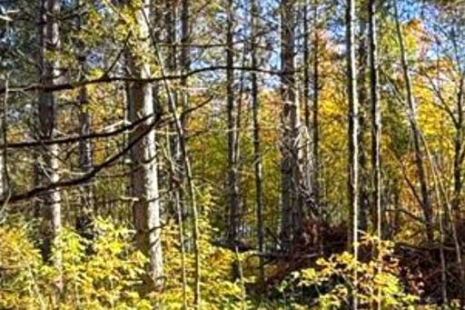 560th Street, Palisade, MN 56469