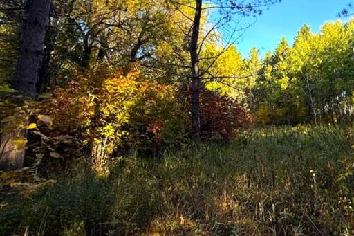 560th Street, Palisade, MN 56469