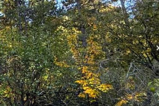 560th Street, Palisade, MN 56469