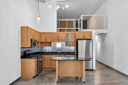 250 Park Avenue, 215, Minneapolis, MN 55415