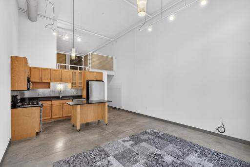 250 Park Avenue, 215, Minneapolis, MN 55415