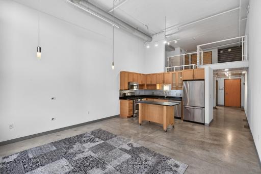 250 Park Avenue, 215, Minneapolis, MN 55415