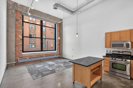 250 Park Avenue, 215, Minneapolis, MN 55415