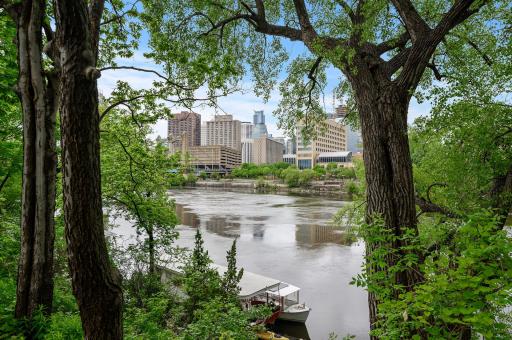 250 Park Avenue, 215, Minneapolis, MN 55415