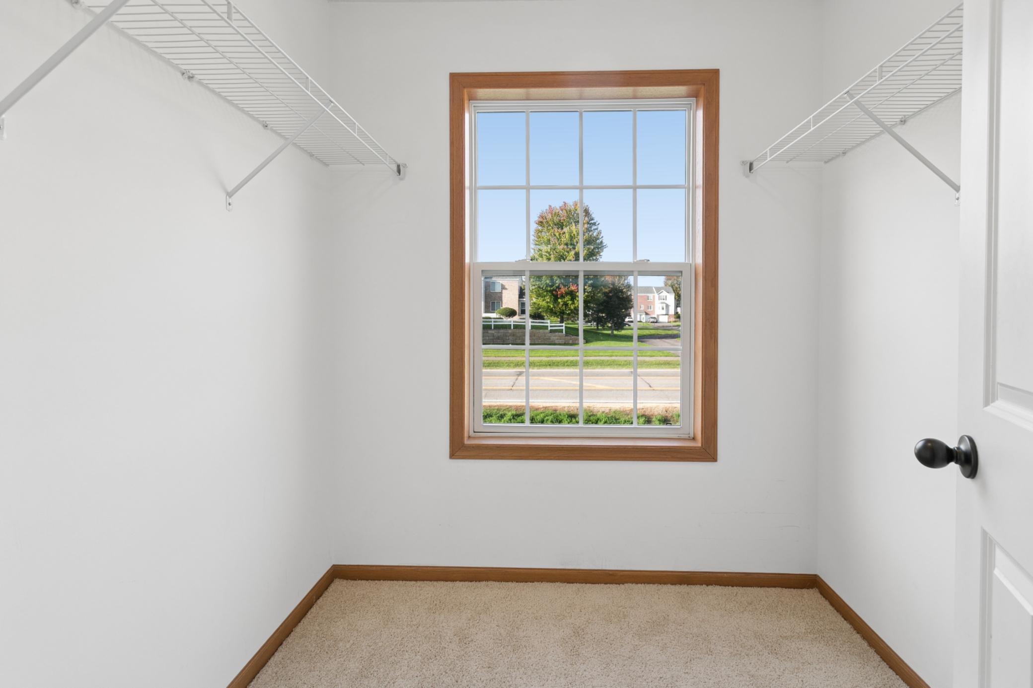 Window in Primary Closet