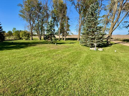2323 150th Street, Balaton, MN 56115