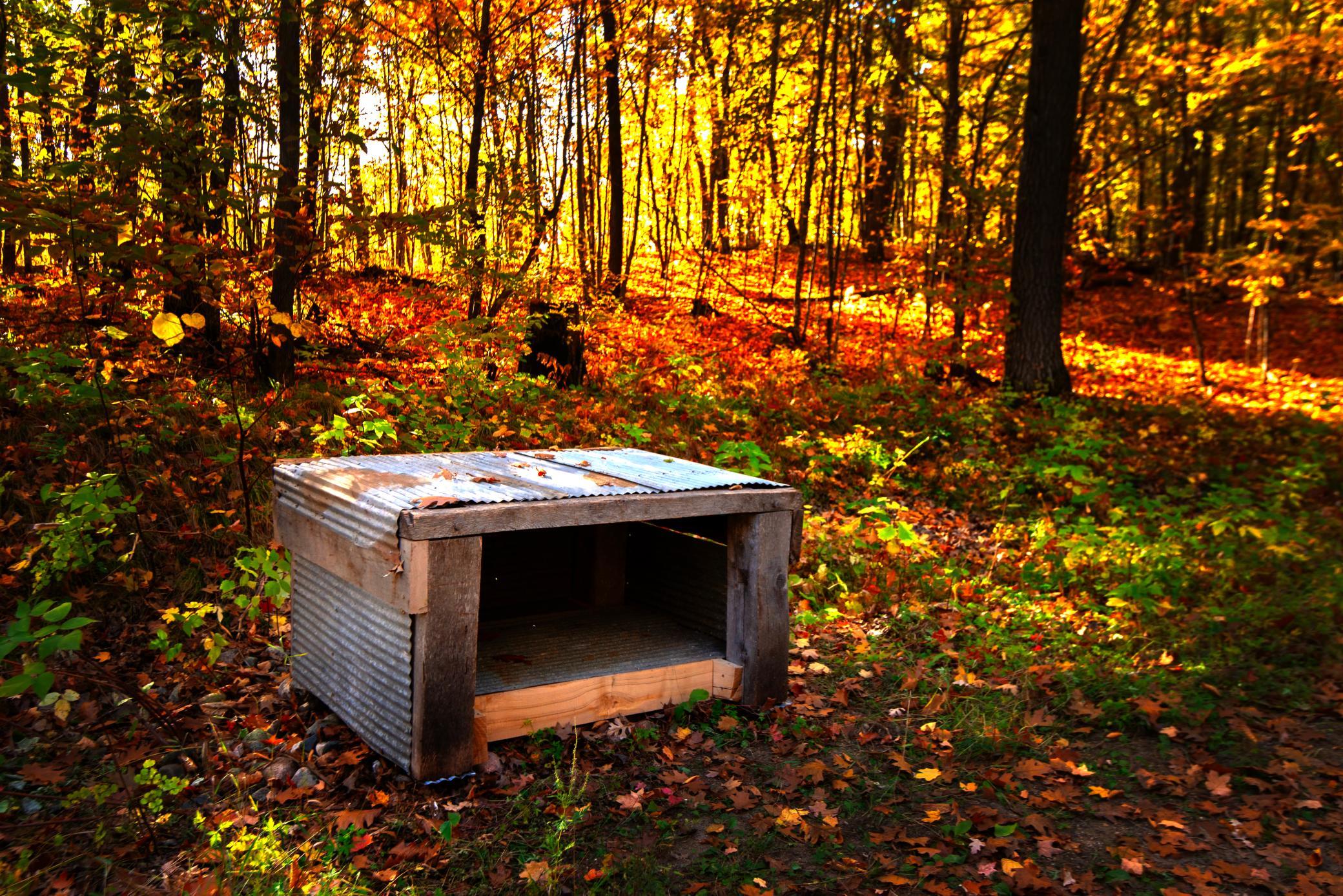 DROP BOX