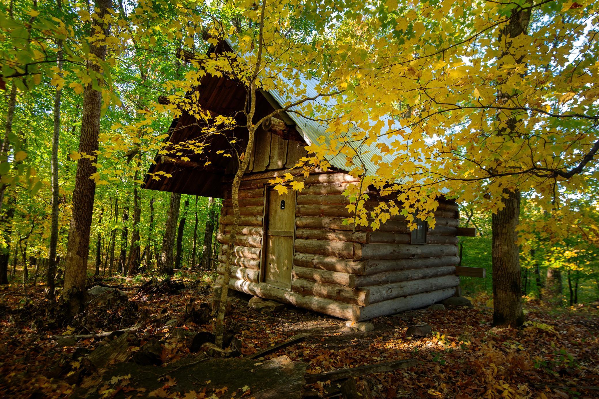 SMALL CABIN copy.jpg