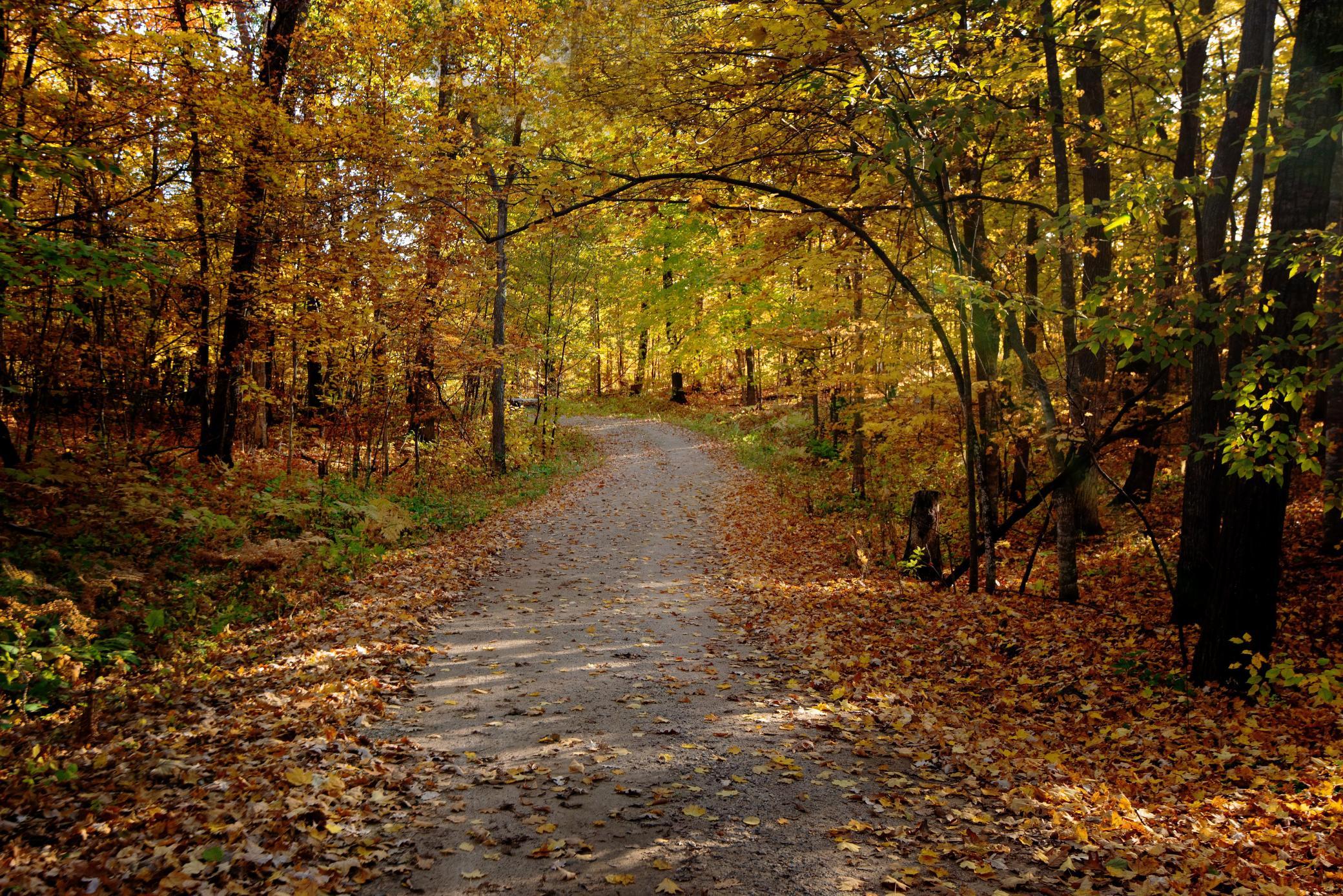 WOODS DRIVE WAY A copy.jpg