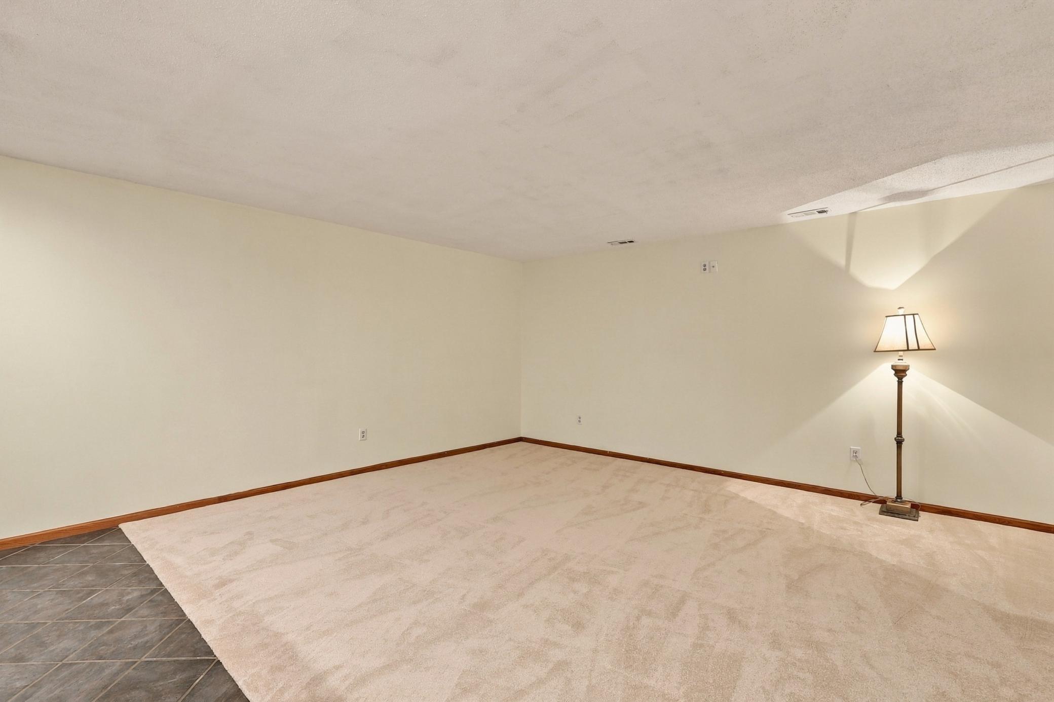 Basement Living room
