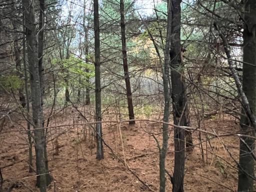 0000 Holly Rd, Pine City, MN 55063