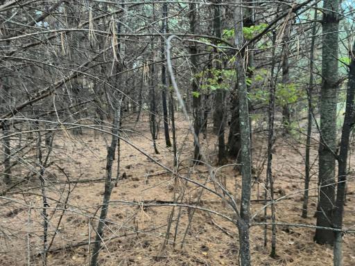 0000 Holly Rd, Pine City, MN 55063
