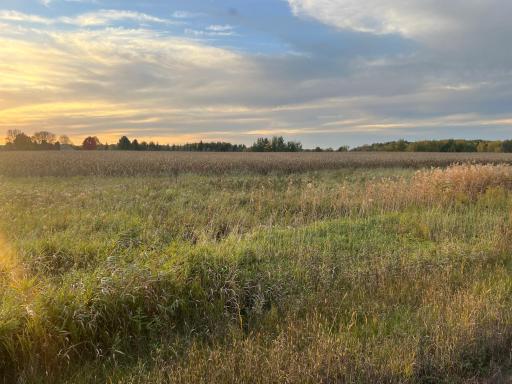 0000 Holly Rd, Pine City, MN 55063