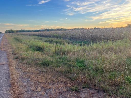 0000 Holly Rd, Pine City, MN 55063