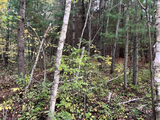 0000 Holly Rd, Pine City, MN 55063