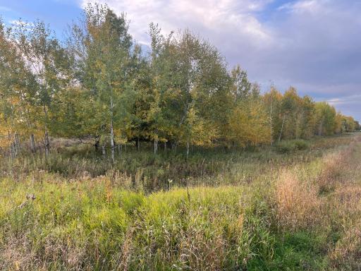 0000 Holly Rd, Pine City, MN 55063
