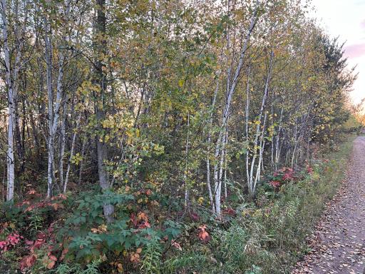 0000 Holly Rd, Pine City, MN 55063
