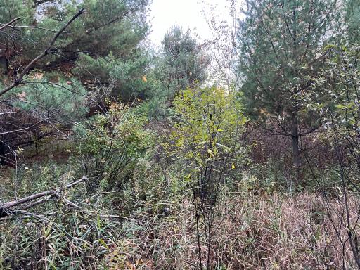 0000 Holly Rd, Pine City, MN 55063