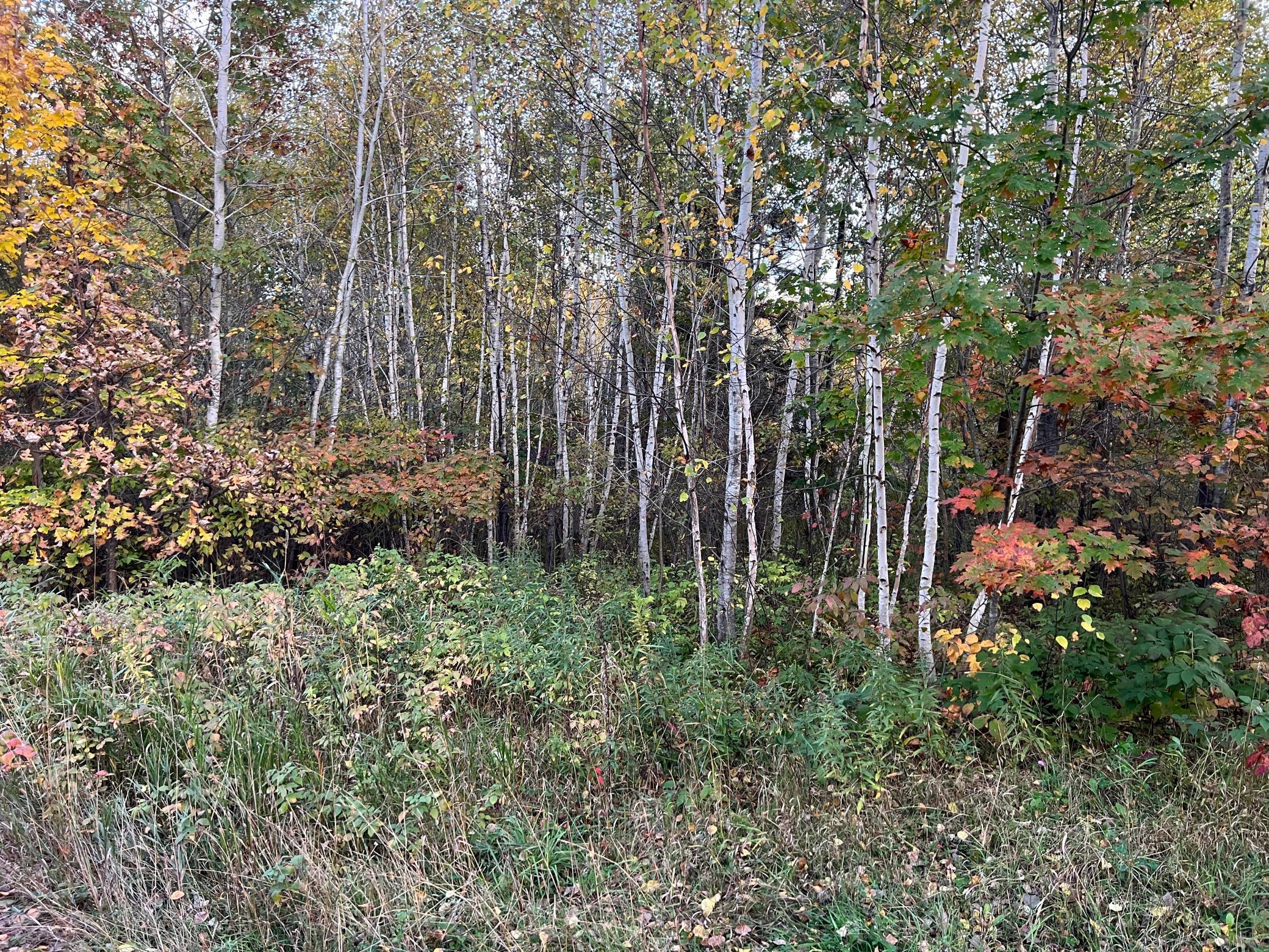 IMG_4769.JPG