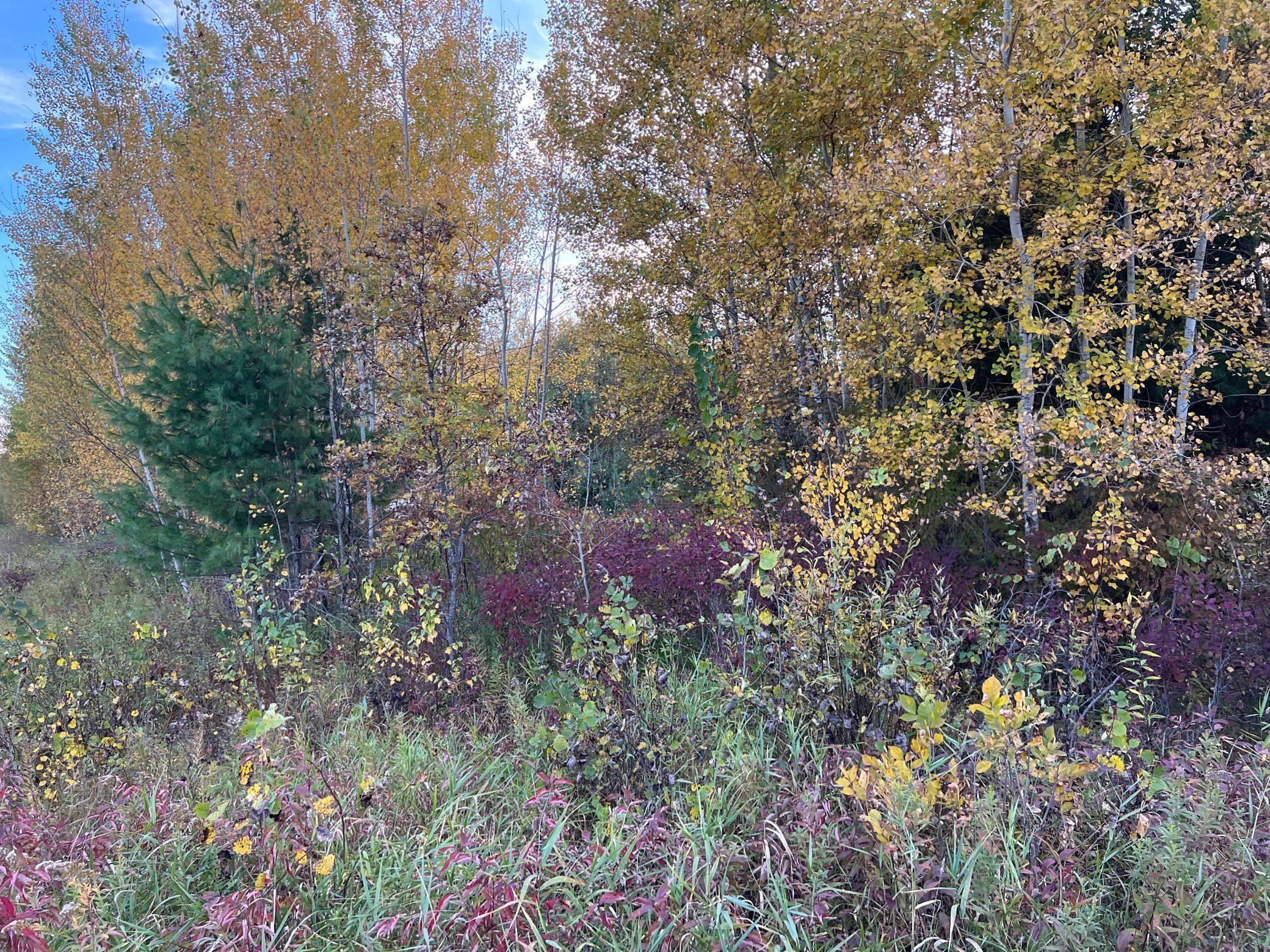 IMG_4760.JPG
