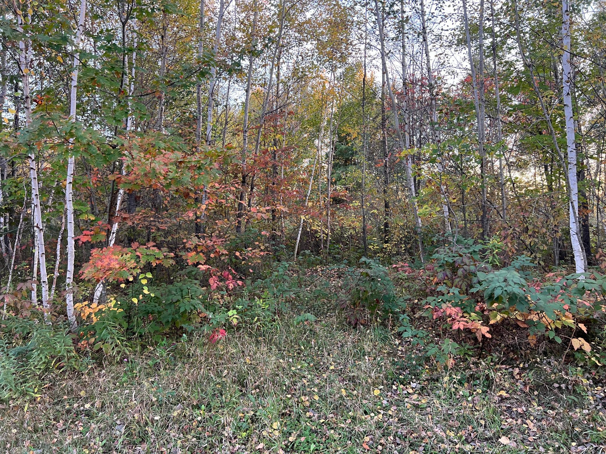IMG_4770.JPG