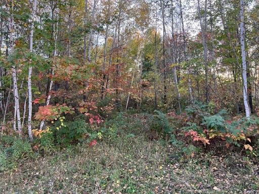 0000 Holly Rd, Pine City, MN 55063