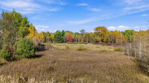 0000 Holly Rd, Pine City, MN 55063